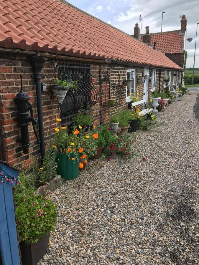 Yarm cottages Haystacks Kirklevington Exteriör bild
